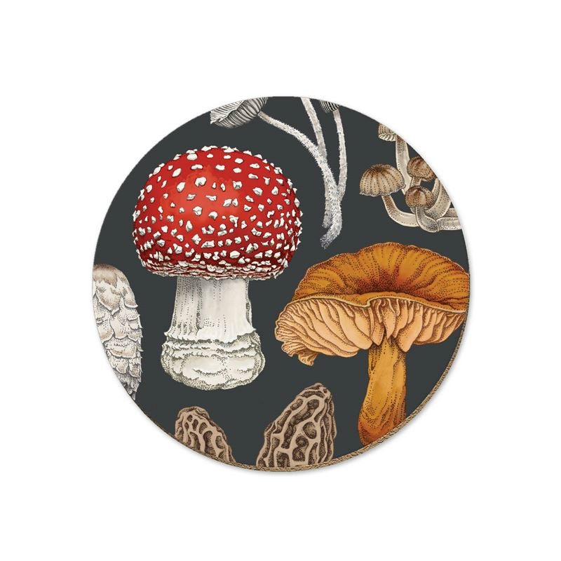 NZ Fungi Coasters