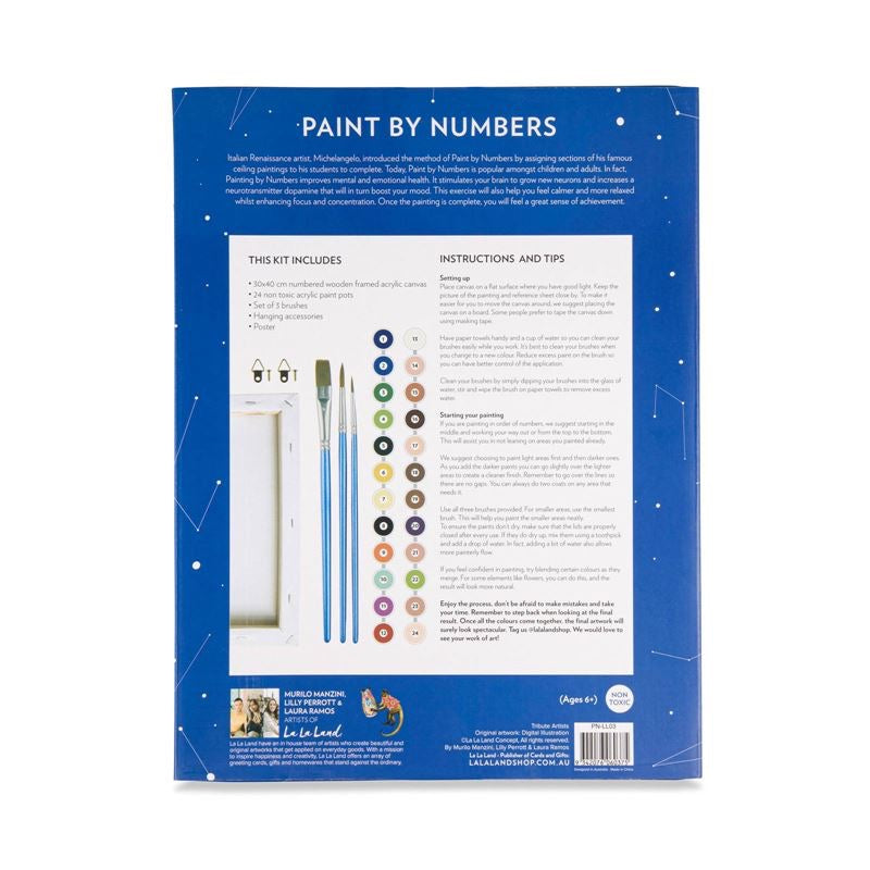 Viva La Vida Paint By Numbers Kit Set