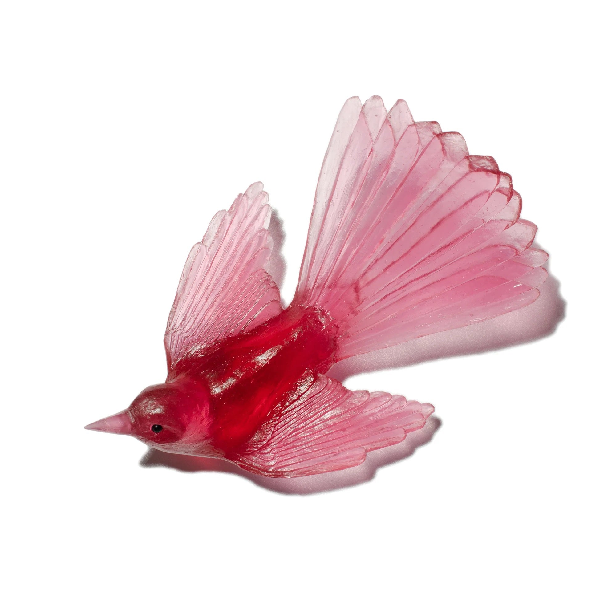Glass Fantail
