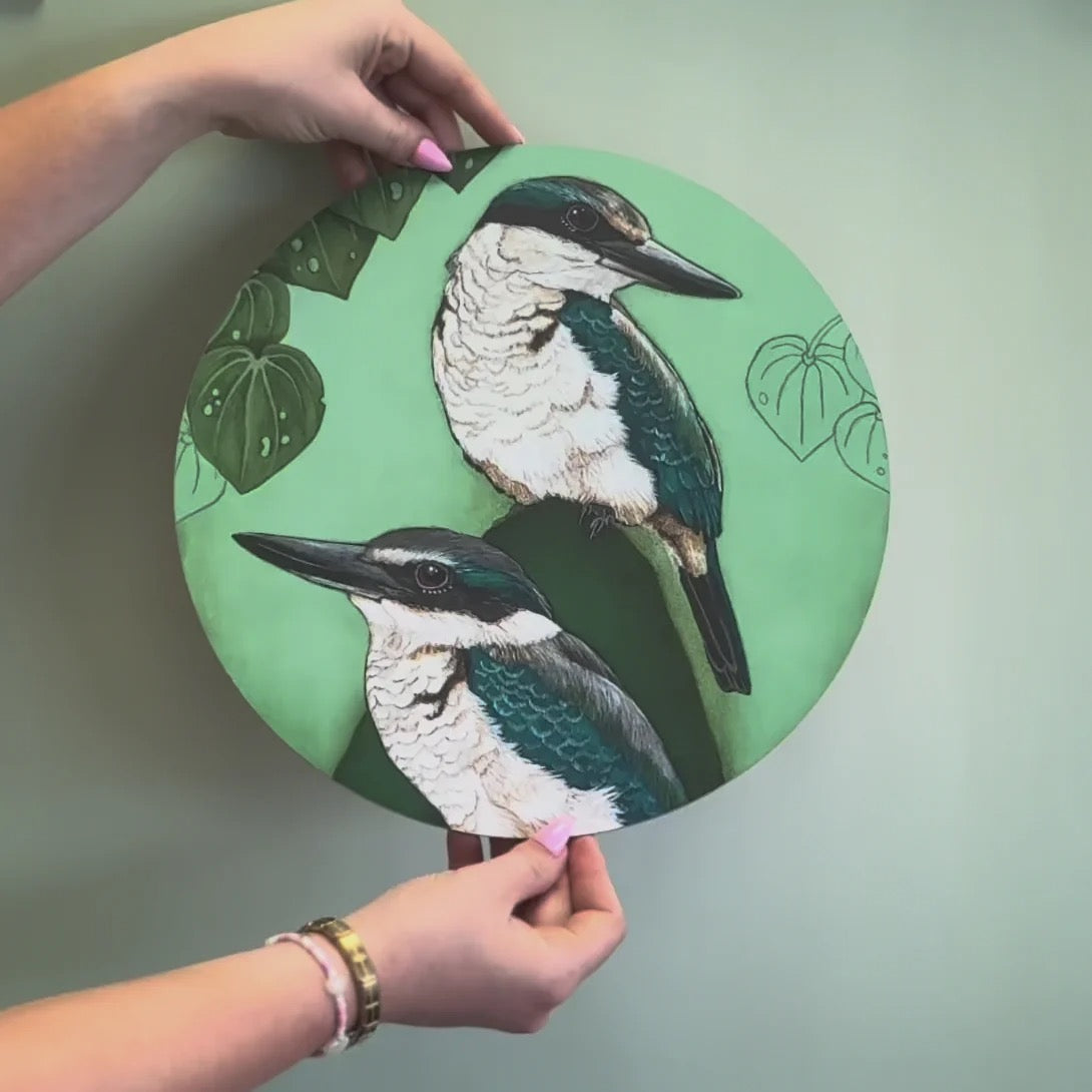 Circular Placemats | NZ Birds | Boxed Set Of 6