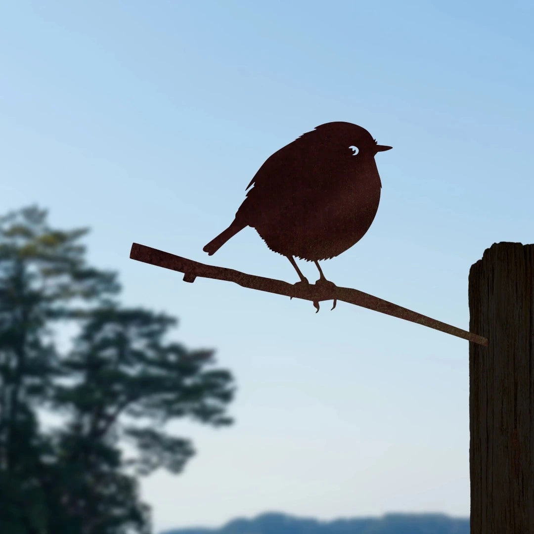 Black Robin Metalbird