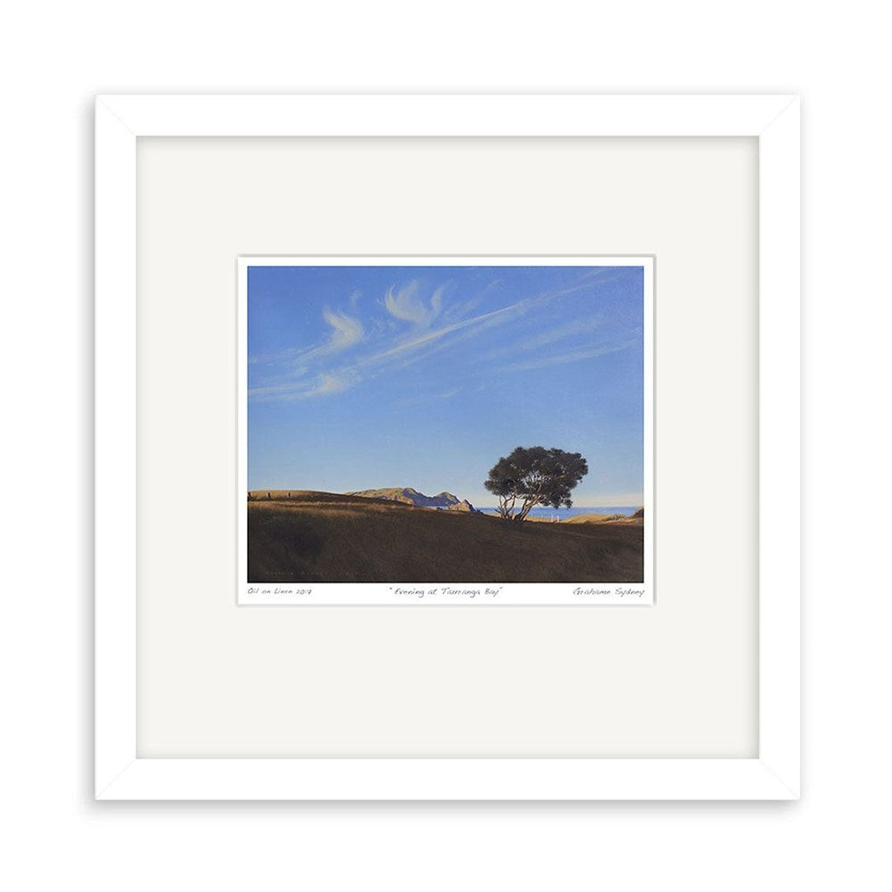 Evening At Tauranga Bay