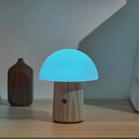 Mini Alice Mushroom LED Light