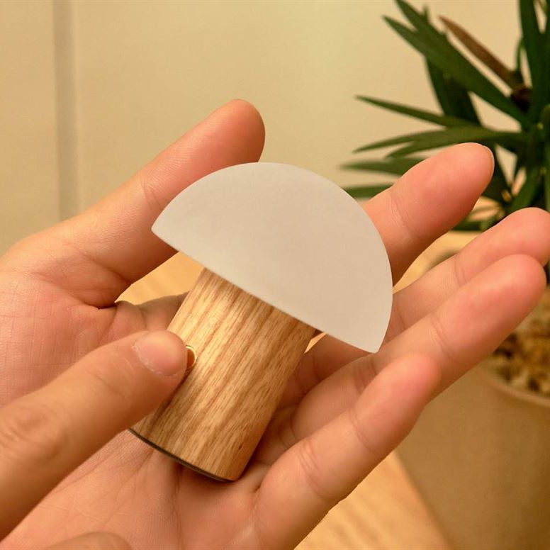 Hand holding a small mushroom shaped lamp , potted plant in the background.