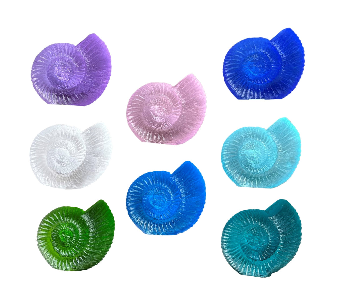 Cast Glass Ammonites