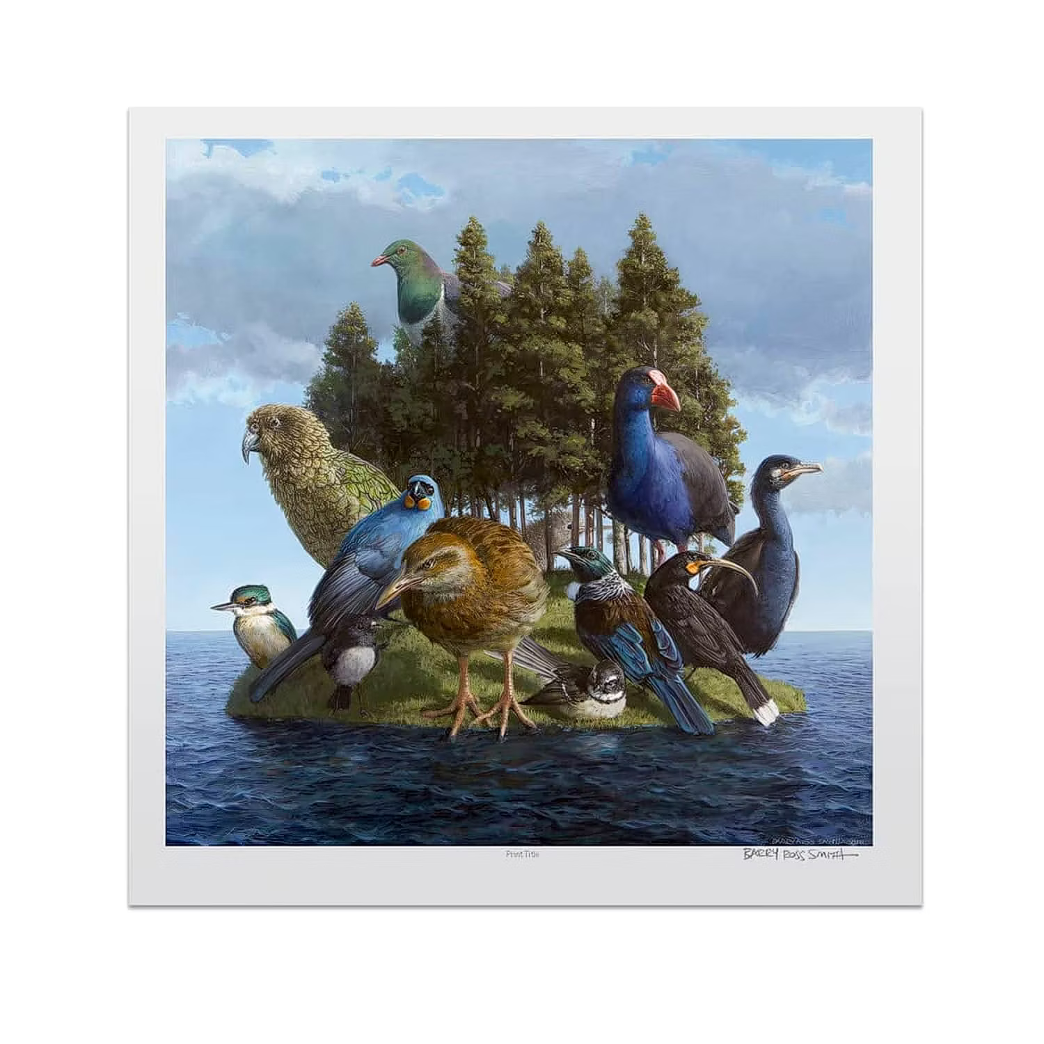 Buller | Fine Art Matboard Print