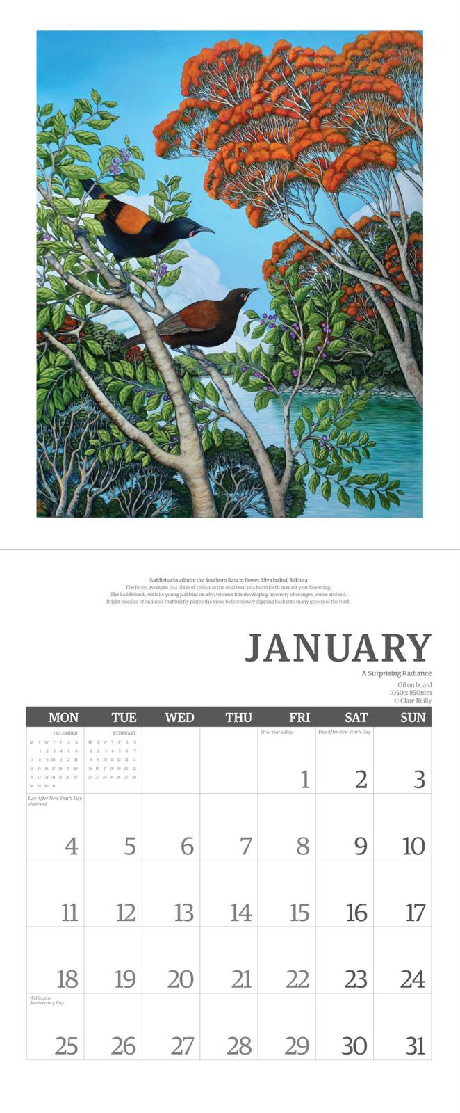 2027 Wall Calendar | Clare Reilly