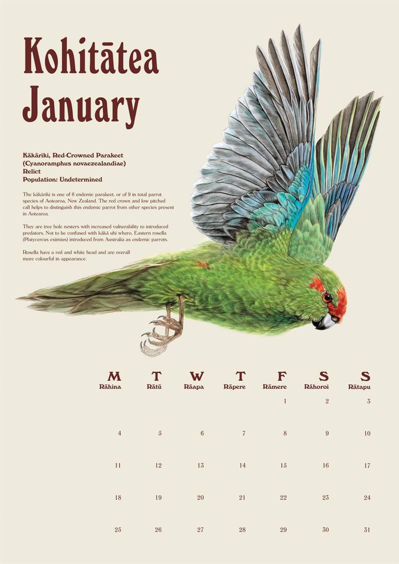 2027 Wall Calendar | Erin Forsyth