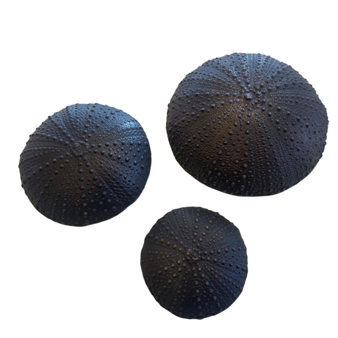 Bronze Kina