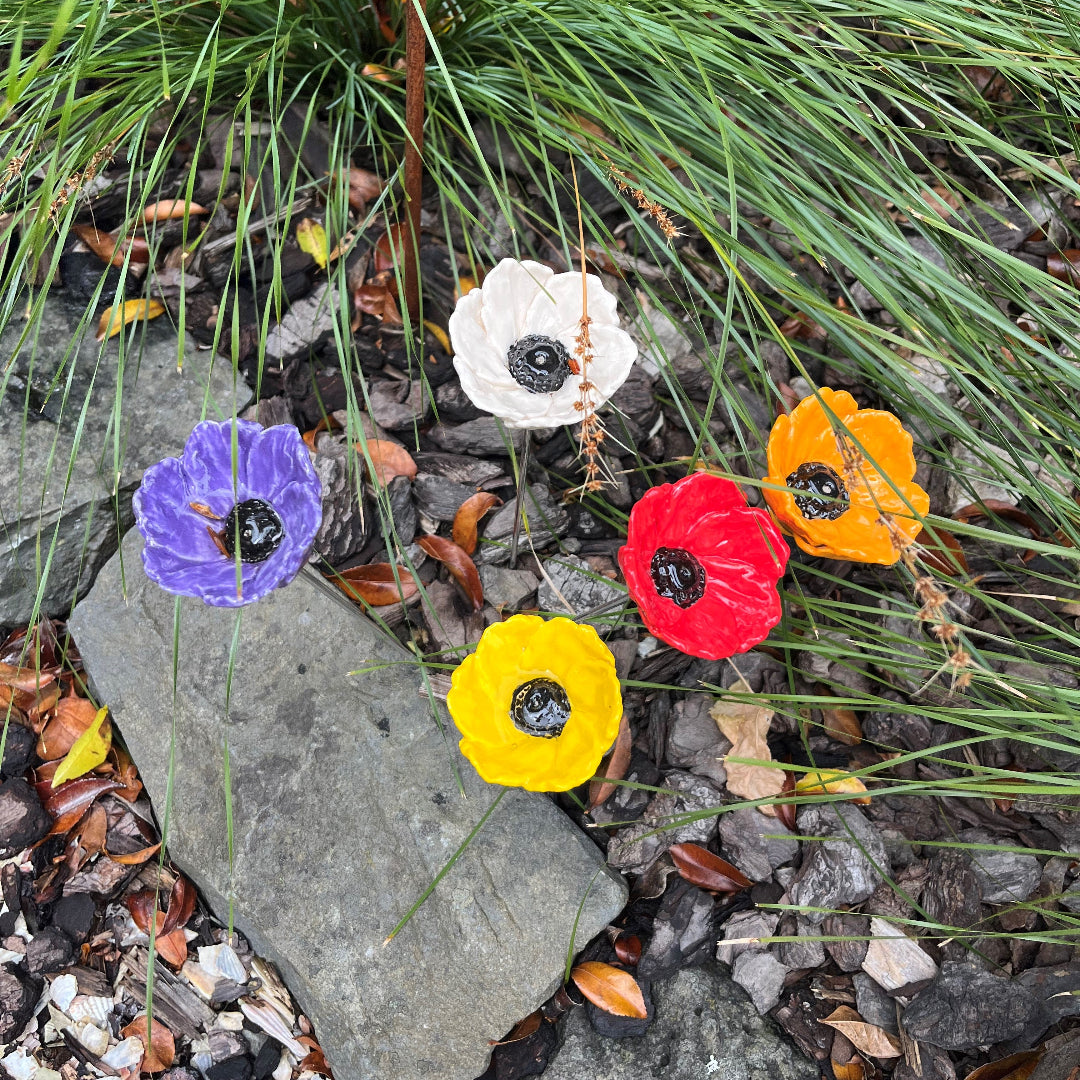 Ceramic Poppies In A Mix Of Colours Box Set Of 5 by Christine Whiteley