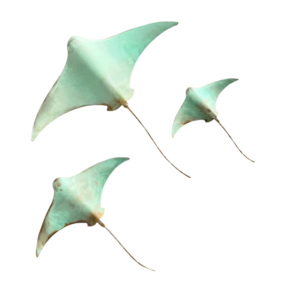 Copper Stingray Trio