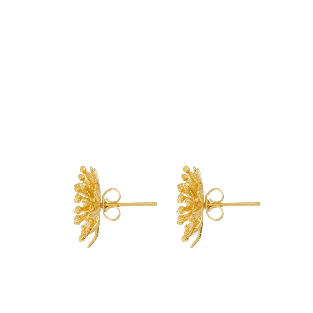 Mt Cook Lily Stud Earrings | 22ct Gold Plate