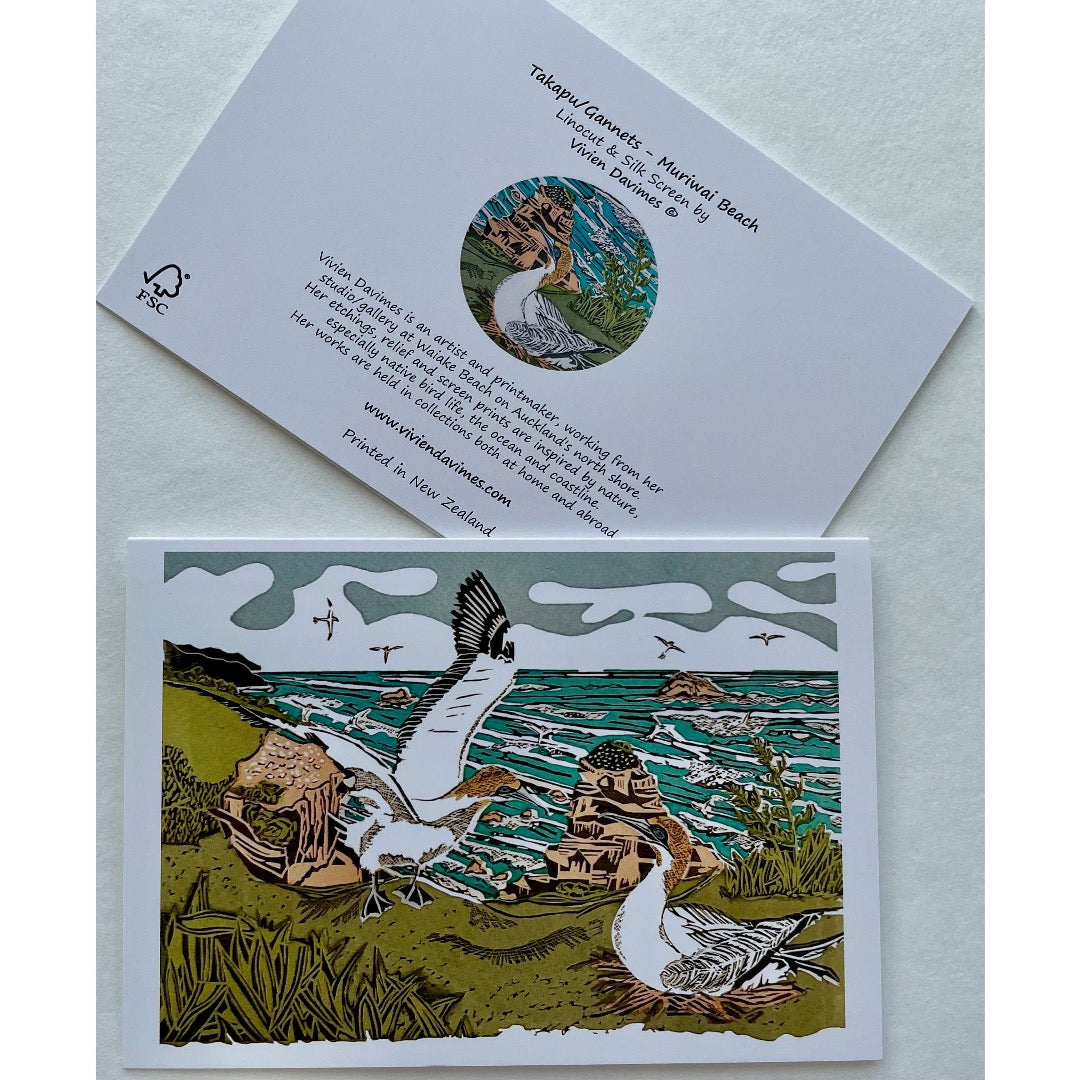 Gannets Muriwai Beach Card