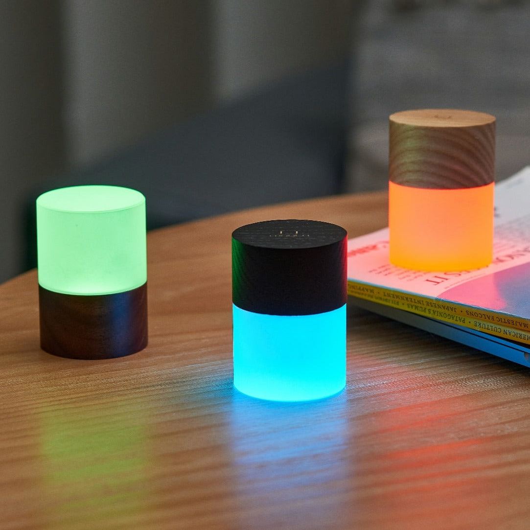 Lemelia LED Light