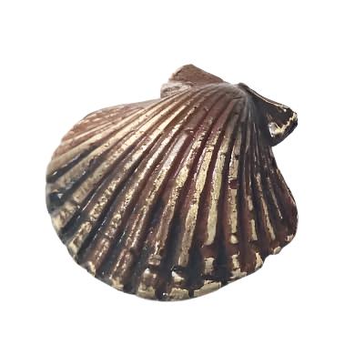 Shell Brooch