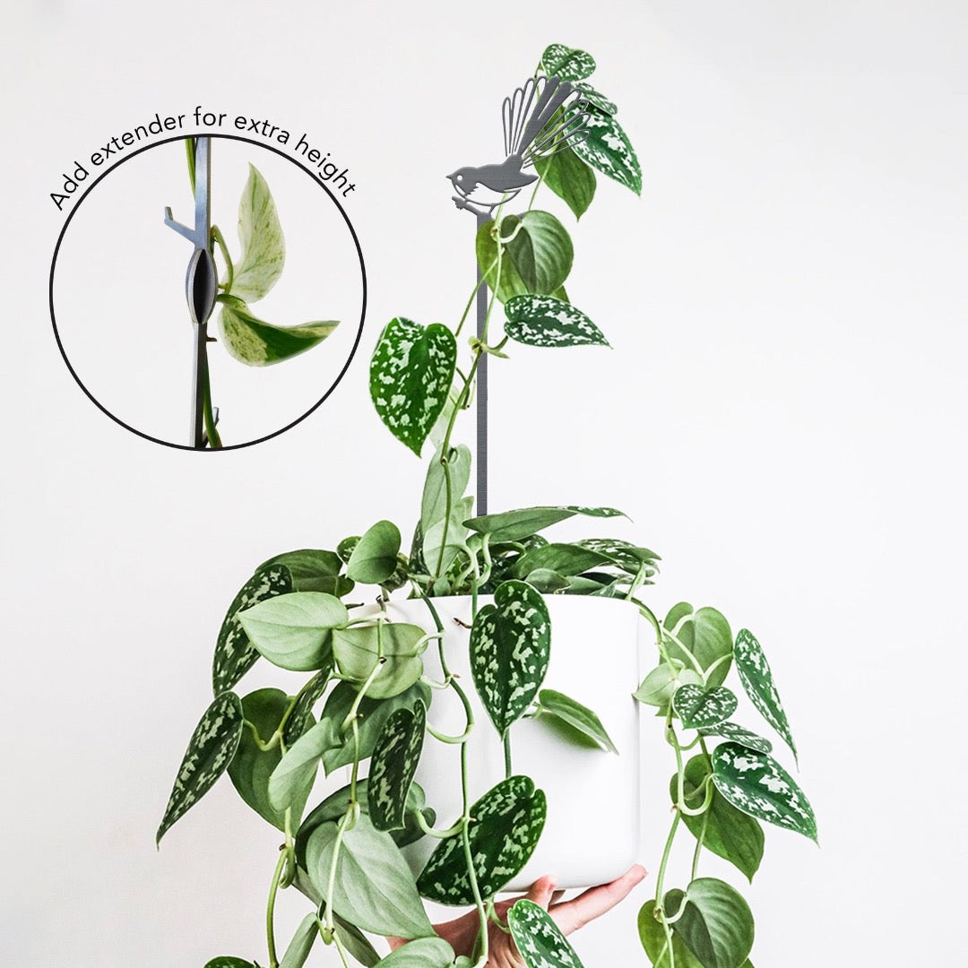 Fantail Plant Stake