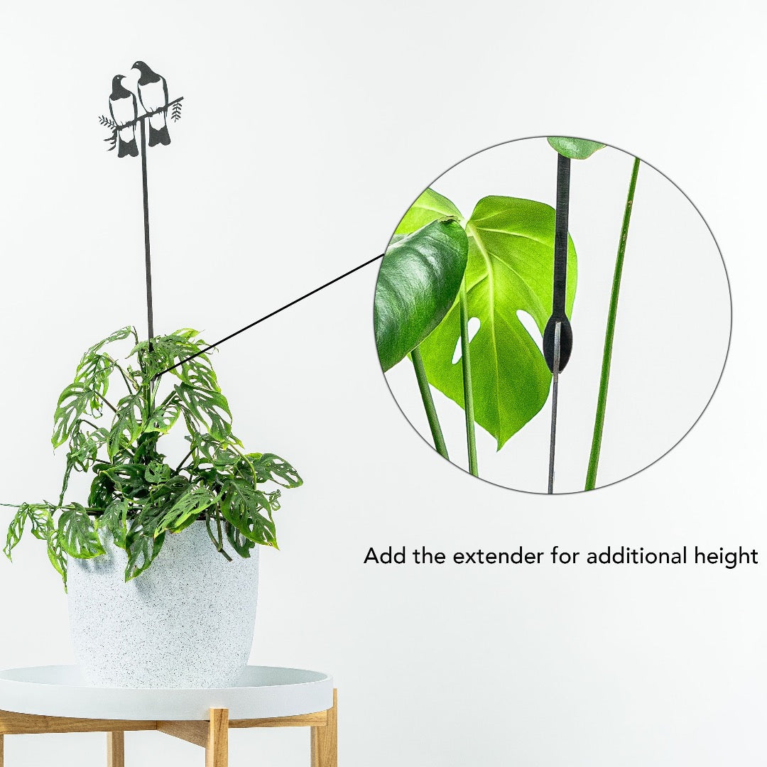 Kereru Plant Stake