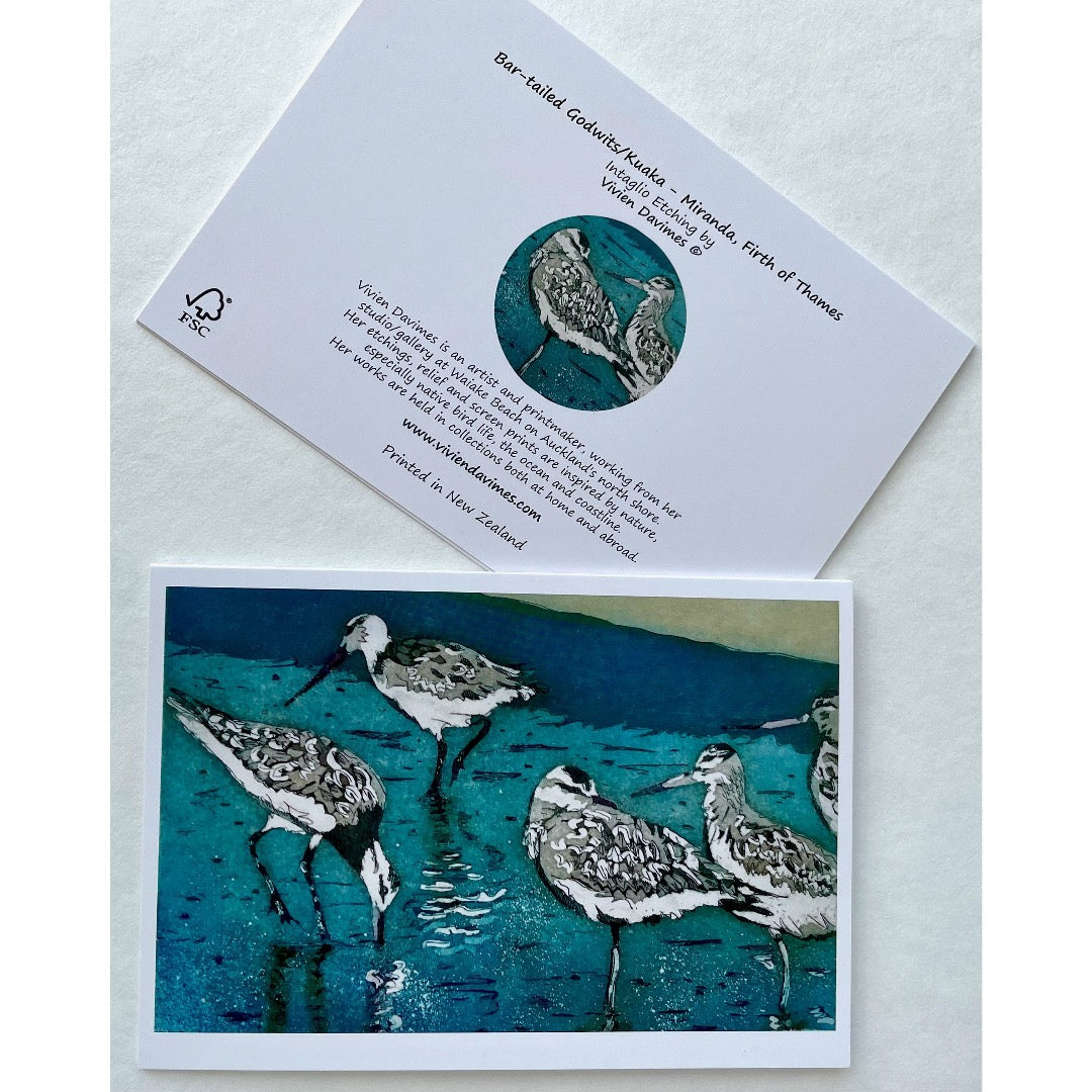 Bar-tailed Godwits Blue Card