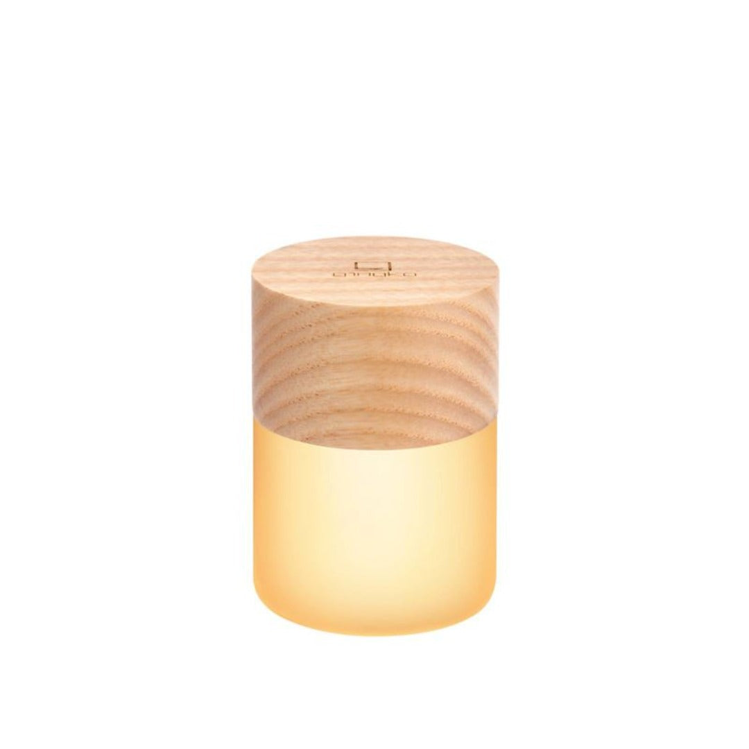Lemelia LED Light
