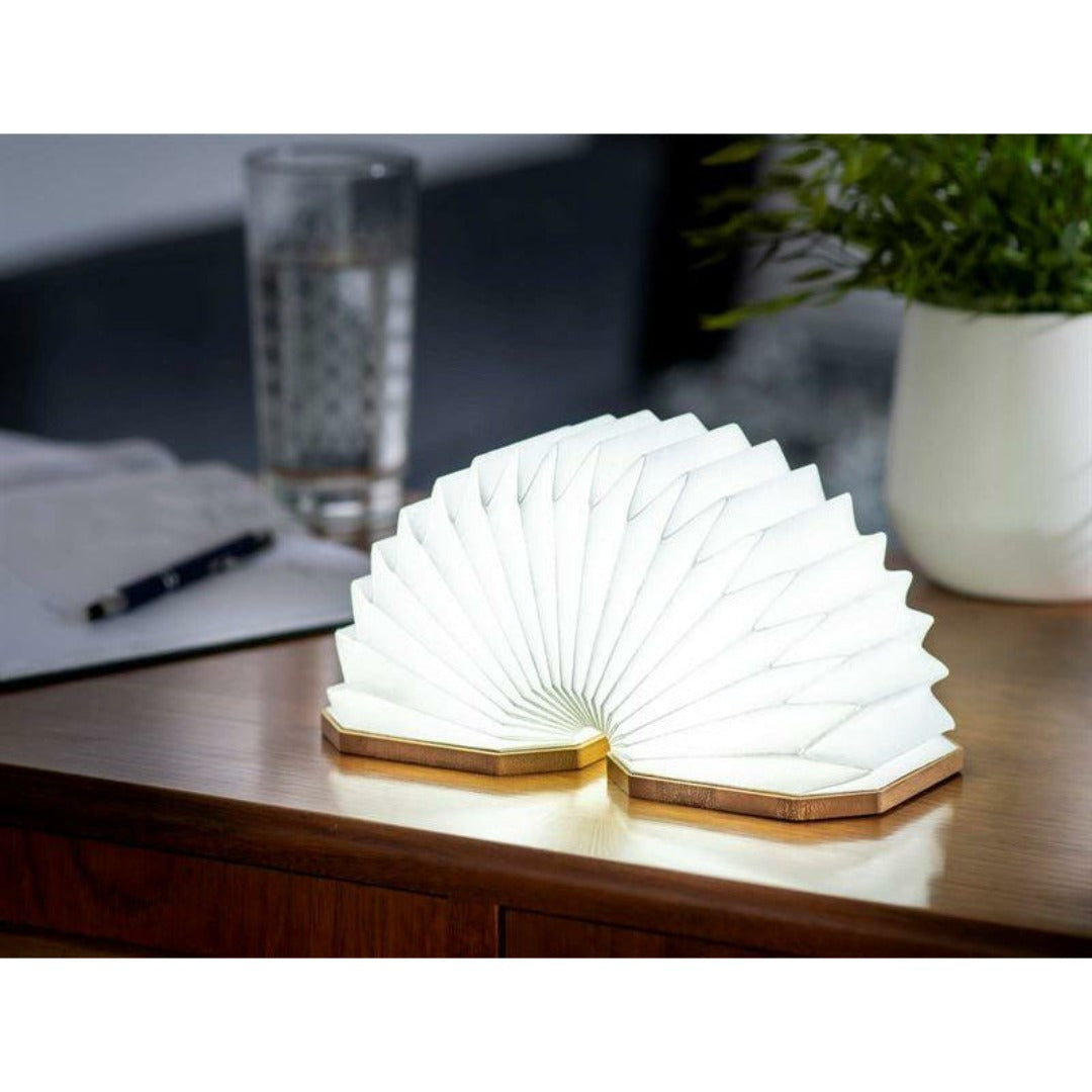 Smart Accordion Light LED