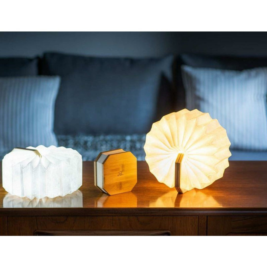 Smart Accordion Light LED