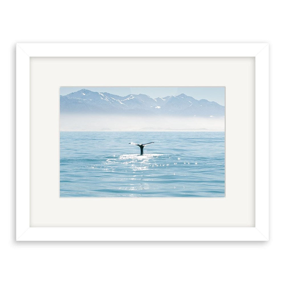Whale Tail