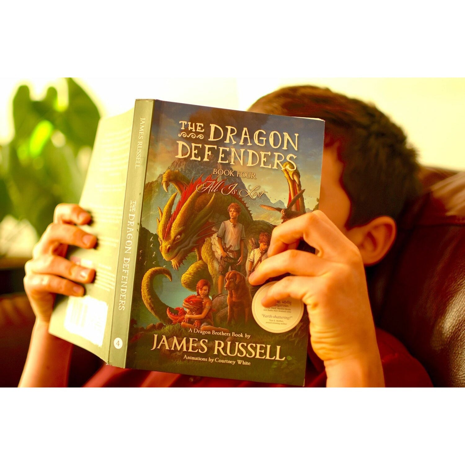 The Dragon Defenders Book Series