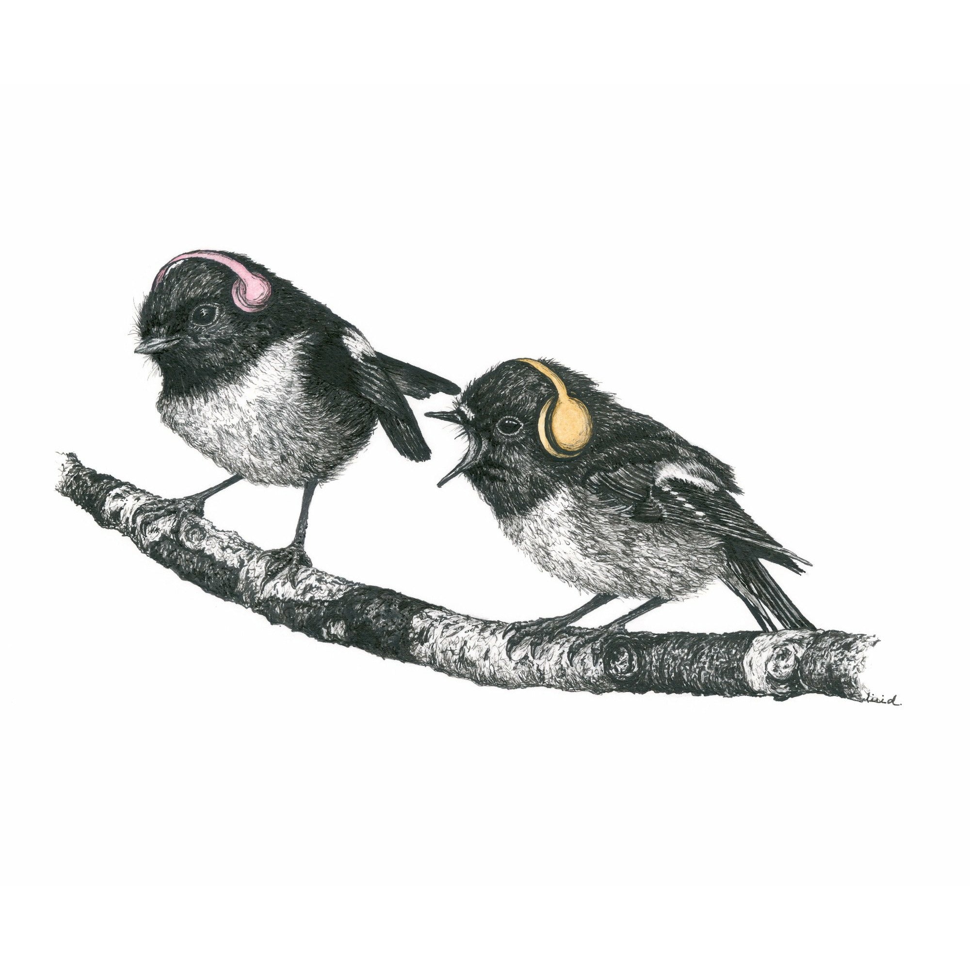 Bird Sketches Limited Edition Series