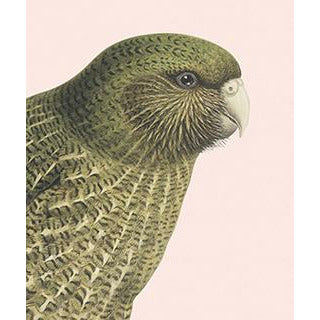 NZ Native Birds Lens Cloth | Buller's Birds