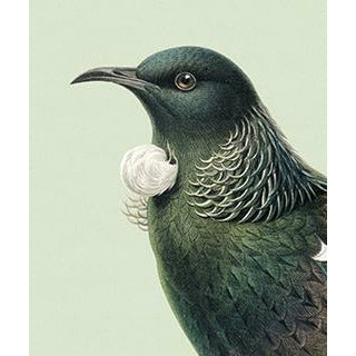 NZ Native Birds Lens Cloth | Buller's Birds