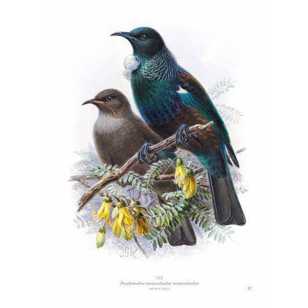 Buller's Birds of New Zealand: The Complete Work of JG Keulemans