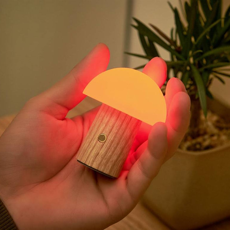Hand holding a mushroom shaped light with wooden base, blurred plant in the background