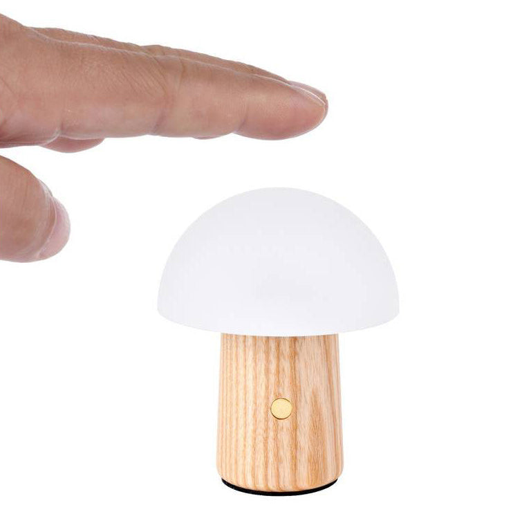Mushroom-shaped lamp with wooden base and white shade, held by a hand on a white background