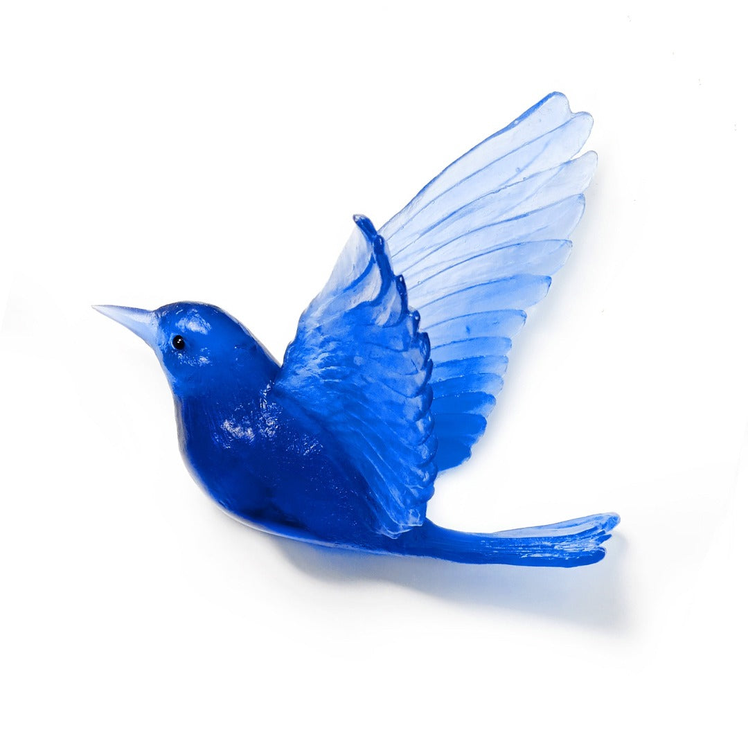Glass Stitchbird