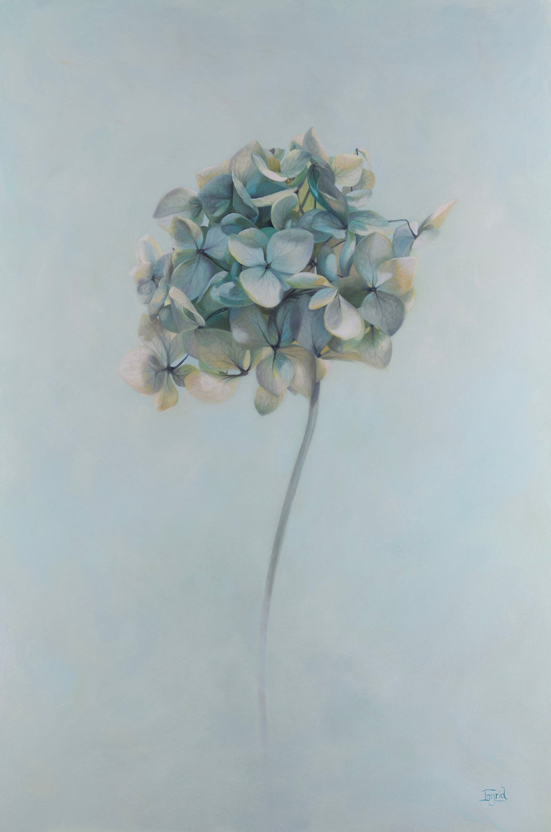 Artistic depiction of a flower with a minimal background