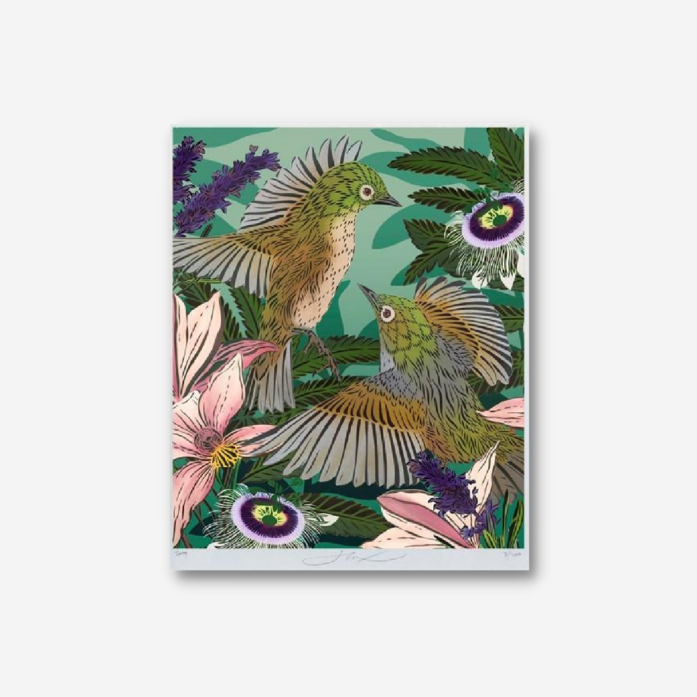 Winged Waxeyes