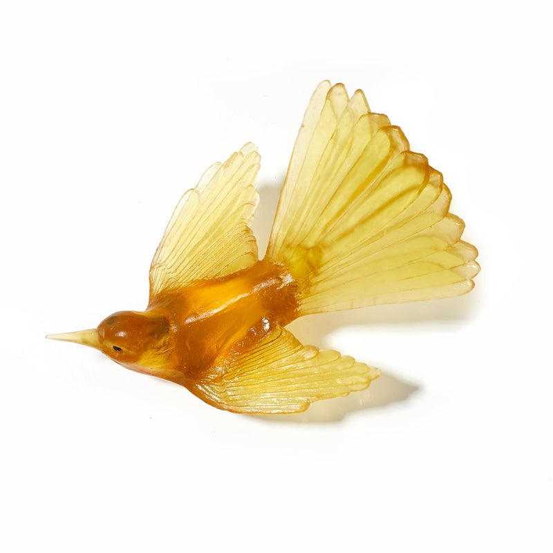 Glass Fantail