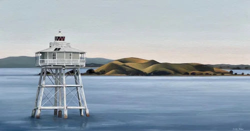 First Light by Judith Milner