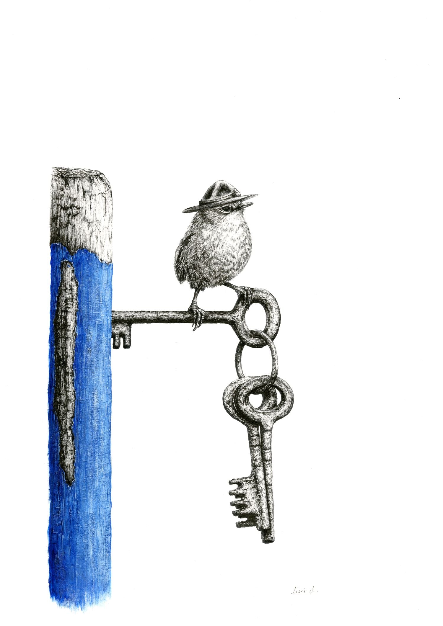 Bird Sketches(バード・スケッチズ) Limited Edition Bird Sketches By Artist Olivia Wirepu aka Livi D.