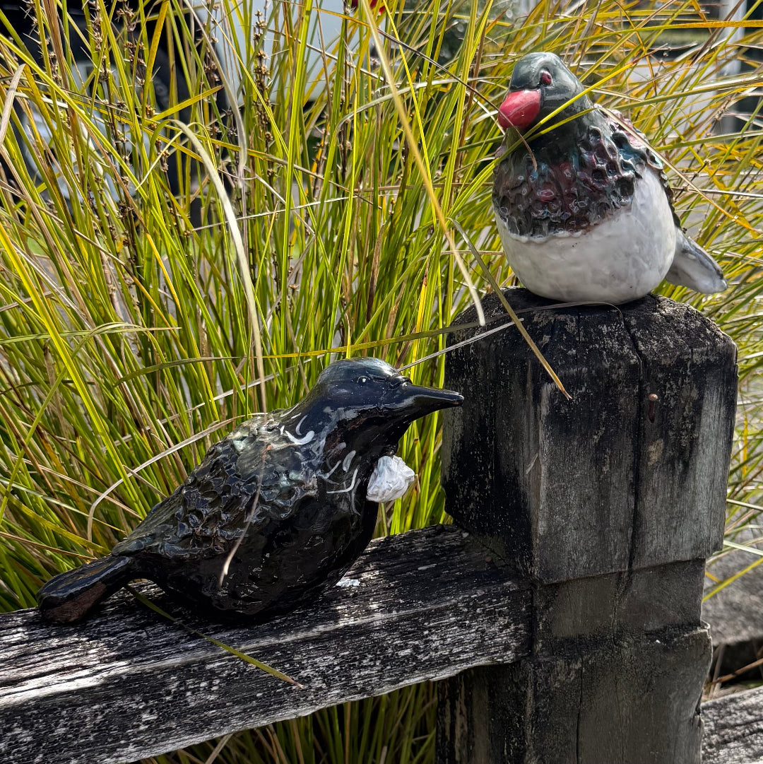Real Birds | Tui