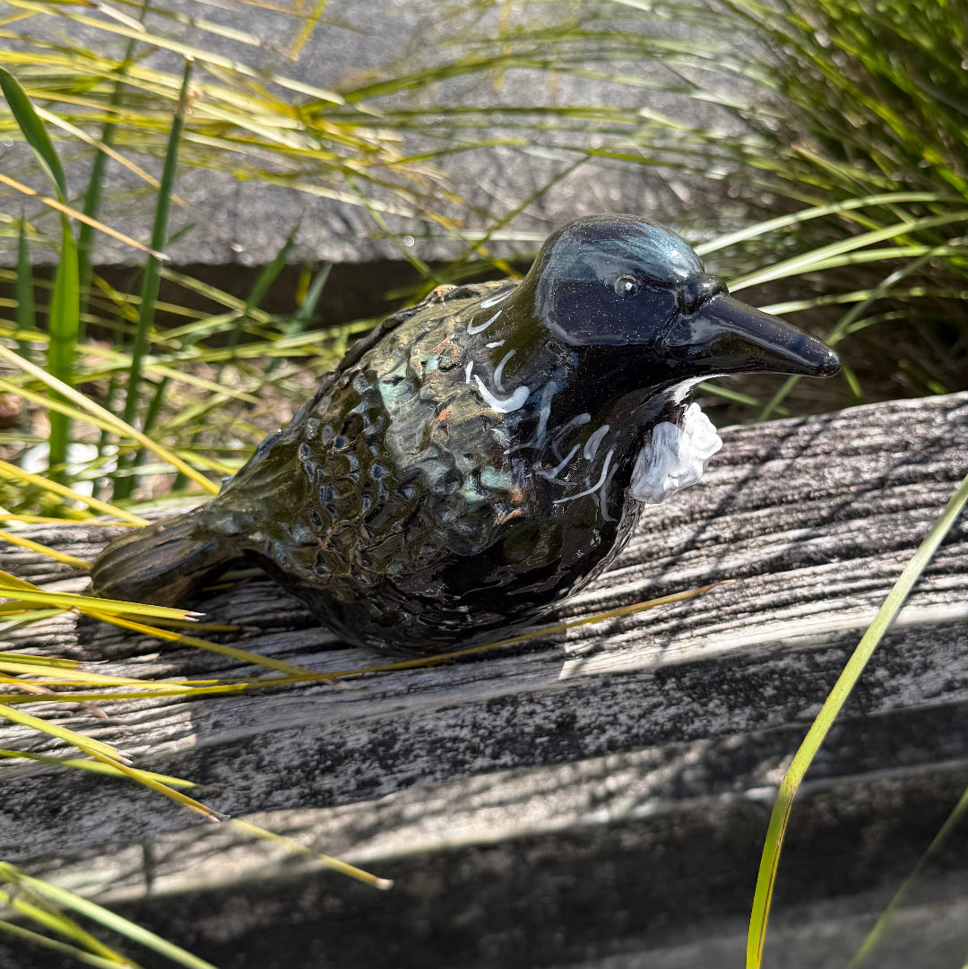 Real Birds | Tui