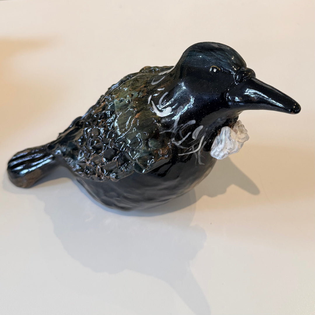 Real Birds | Tui