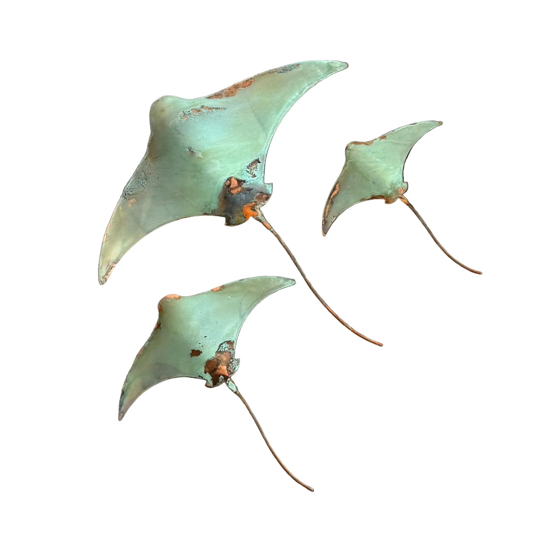 Three copper stingrays on a white surface