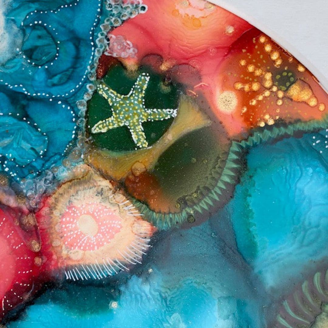 Coral Rock Pool