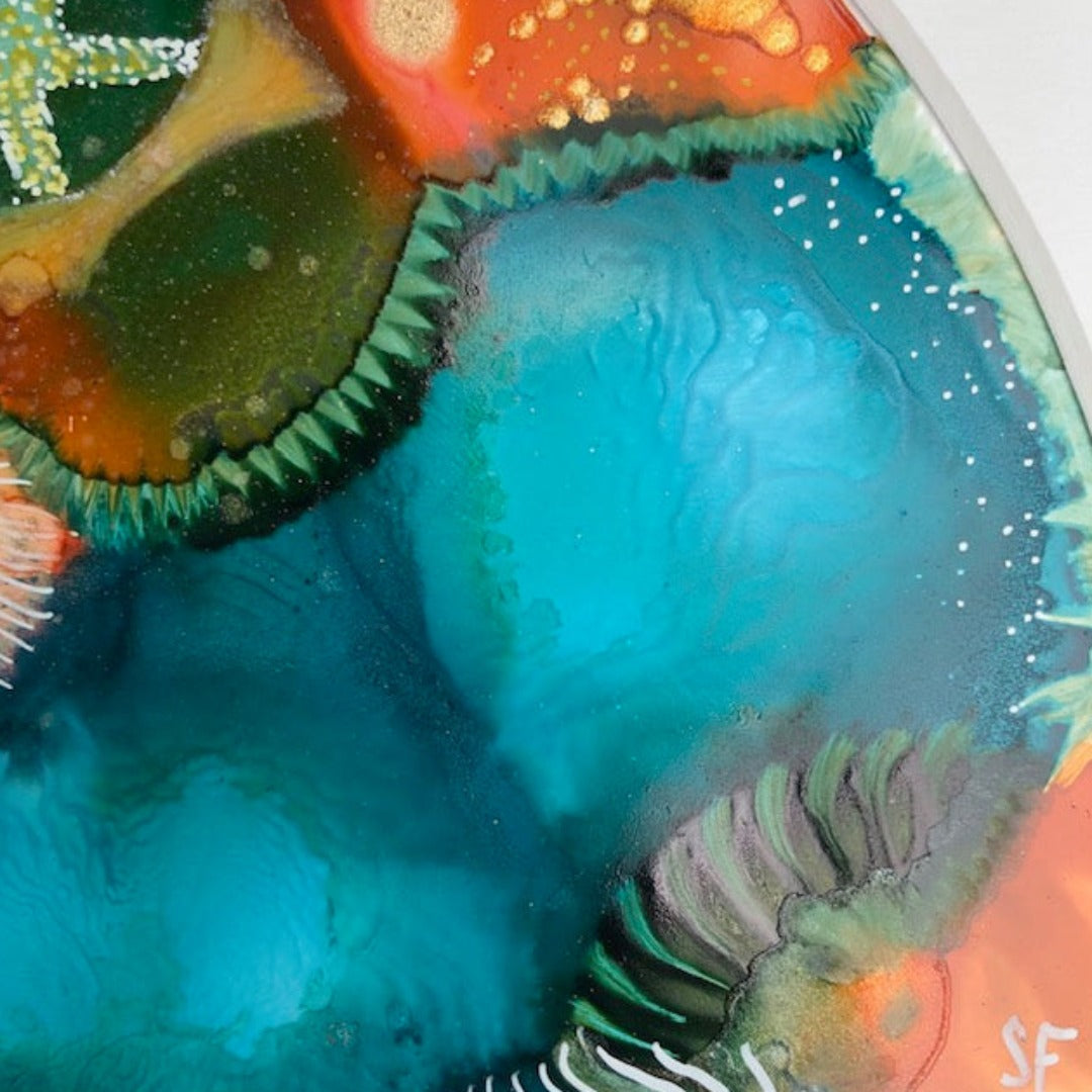 Coral Rock Pool