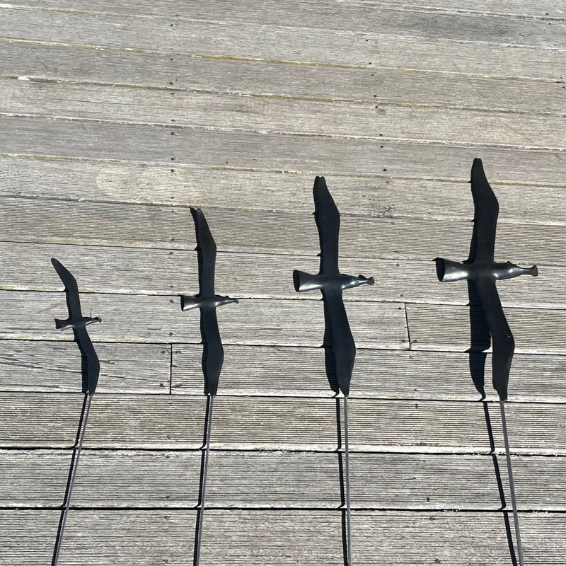 Albatross On Garden Pins