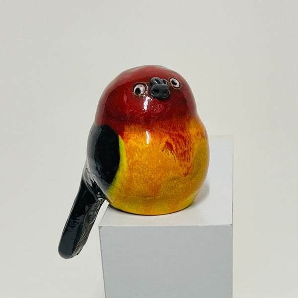 Terracotta Red Head Finch