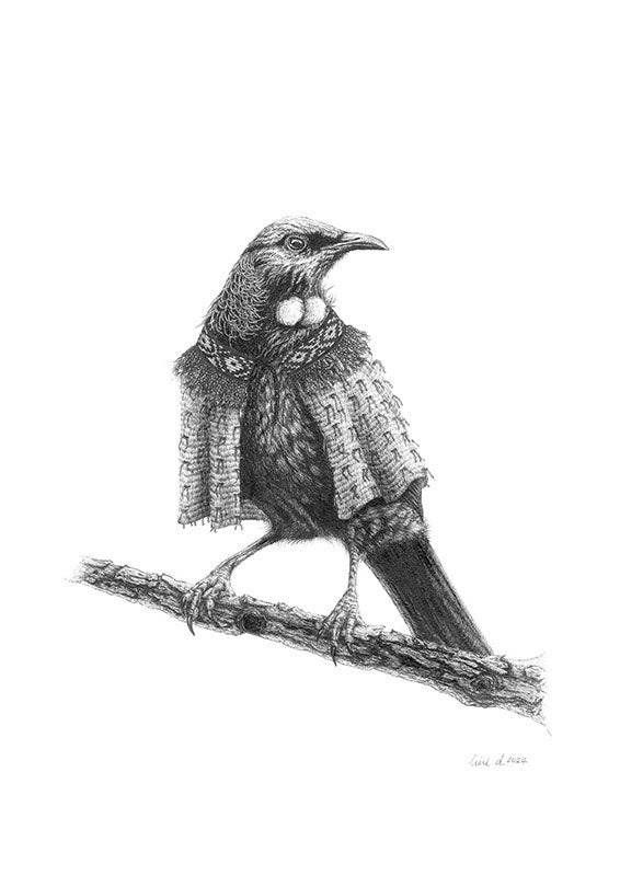 Bird Sketches Limited Edition Series