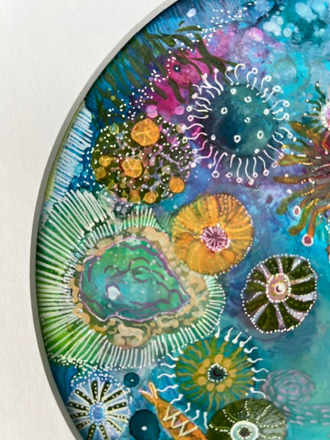 Colorful underwater scene with various marine organisms on a circular plate.