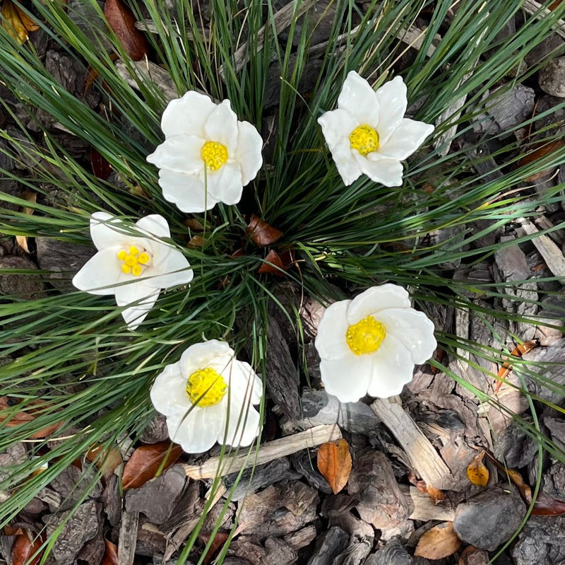 Ceramic White Flowers | Box Of 5
